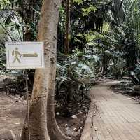สถานที่สุด Unseen  “หุบป่าตาด” จ.อุทัยธานี