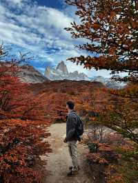 เหมือนภาพวาด ไม่เวอร์เกินไป Patagonia 
