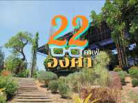 เที่ยวคาเฟ่ 22 องศา วังน้ำเขียว