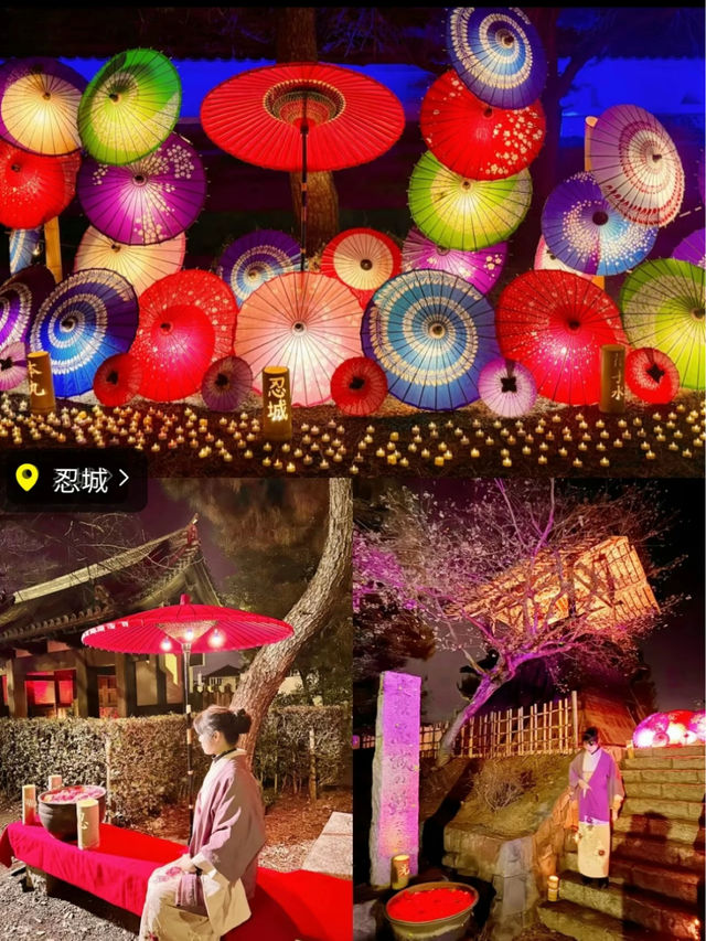 〜埼玉県〜【保存推奨】行田花手水イベント攻略🌸MAPあり