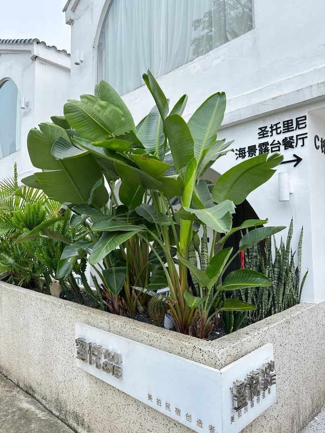「深圳超出片的渡假風民宿，送下午茶，攝影」