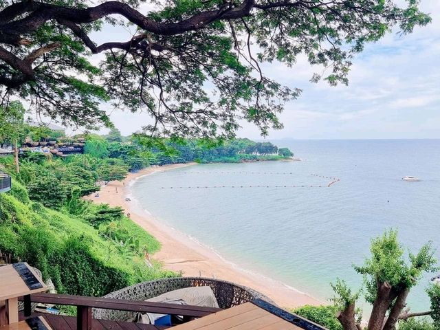 1 Day Tripวันเดียว เที่ยวเกาะ 