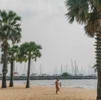ชายหาดสวนตัวและต้นตาลเรียงราย Ravindra Pattaya