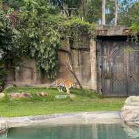 Dreamworld