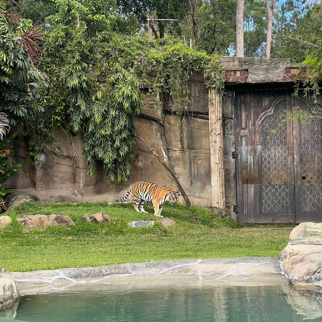 Dreamworld