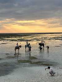 「印尼龍目島附近嘅Gili Island，有趣的是島上的交通工具！適合度假！」