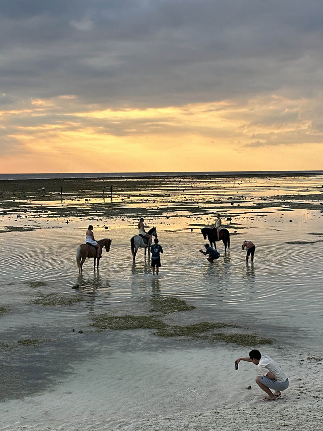 「印尼龍目島附近嘅Gili Island，有趣的是島上的交通工具！適合度假！」