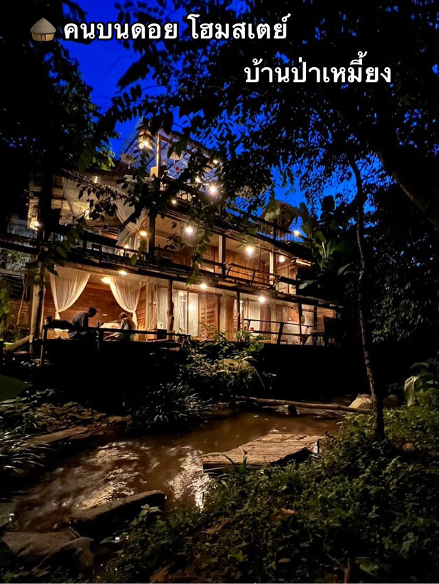 🛖 คนบนดอย โฮมสเตย์ บ้านป่าเหมี้ยง
