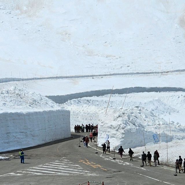 立山室堂雪之大谷，壯觀雪壁與藍天交織的冬日奇景。