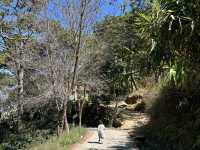 A Fairy Garden: Natureside Cafe Da Lat