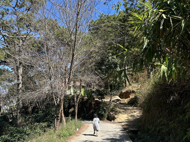 A Fairy Garden: Natureside Cafe Da Lat