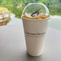 Serene House Cafe 🌳🌿🏝️