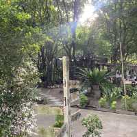 The harmony resort 