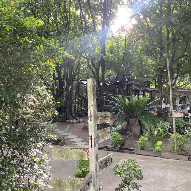 The harmony resort 