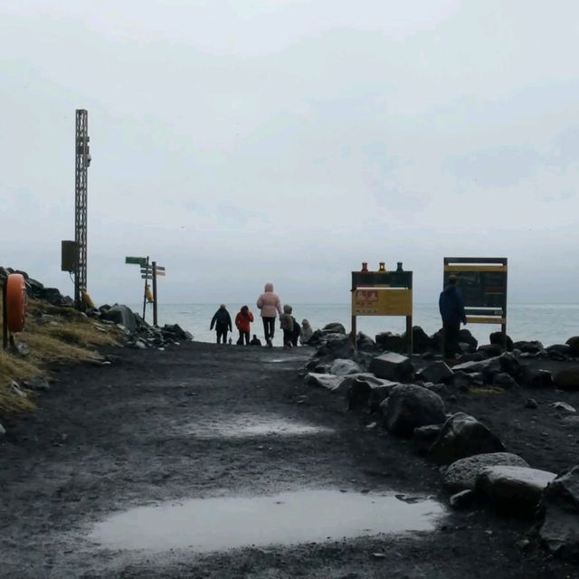雷尼斯黑沙灘：一次過體驗大自然的力量