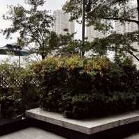 "Infinity Pool at Courtyard by Marriott Shatin: A Panoramic Oasis"