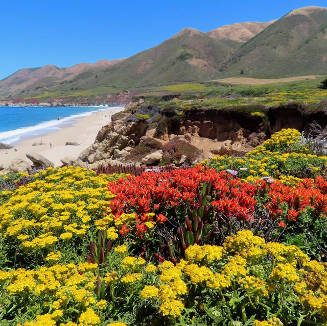 The Hidden Beaches of Big Sur, California
