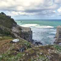 Auckland’s West Coast Beaches: Piha and Muriwai