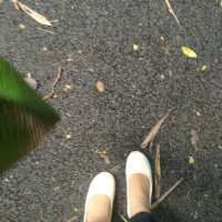 #ฮักนะภูลังกา มาพักลังกาเเคมป์