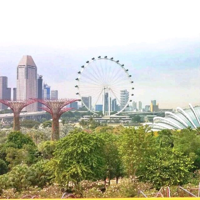 🇸🇬 Gardens by the Bay: A Symphony of Green in the City