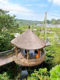 Bird Paradise Singapore Waterfalls