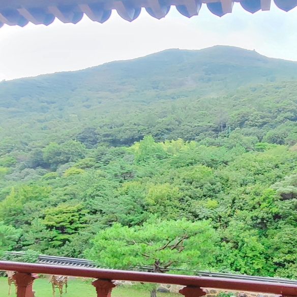공기가 엄청 좋은 수목원?!