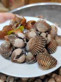 ล้านนัวส์ บุฟเฟ่ต์หอยย่านรัชดา