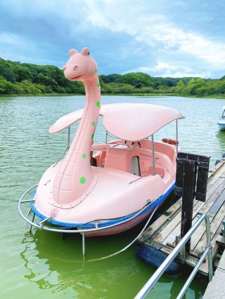 Fun but Surprisingly Tiring Pedal Boats at Akashi