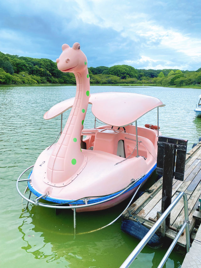 【明石】楽しいけど意外にしんどい足漕ぎボート