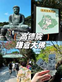 【鎌倉】觀光必到路線-高德院 鎌倉大佛