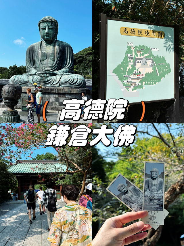 【鎌倉】觀光必到路線-高德院 鎌倉大佛