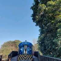 屏東河濱公園 舊鐵橋 運動放風的好地方