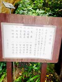 【神奈川県/北鎌倉　秋の明月院も趣がある庭園や風景を堪能できてオススメ！】