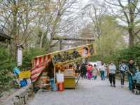 ศาลเจ้าฮอกไกโด (Hokkaido Shrine) 