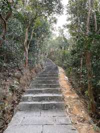 【梅沙尖行山】11.2公里挑戰你的膝蓋，準備好上樓梯