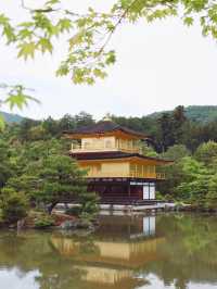 ✈️日本京都金碧輝煌寺廟參觀🤎
