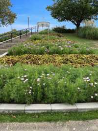 【淡路島】秋の花畑を求めて