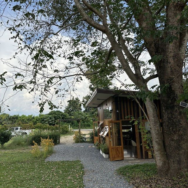 เที่ยวน่านปลายฝนต้นหนาว “เนิบ เนิบ คาเฟ่” วิวทุ่ง