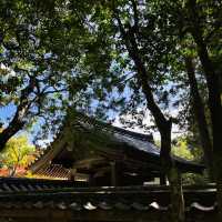 麻生不動院：小橋流水中的日式韻味 🌸🏯