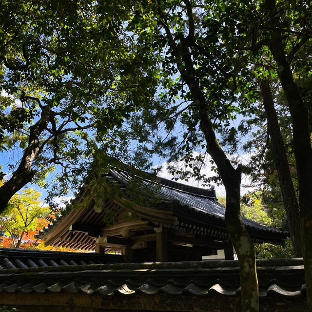 麻生不動院：小橋流水中的日式韻味 🌸🏯