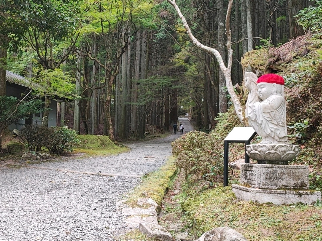 滋賀】パワースポット比叡山延暦寺 | Trip.com 大津