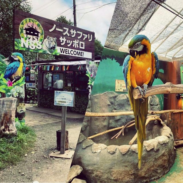 札幌市動物園 🦥🦜🦒🐐😍😍