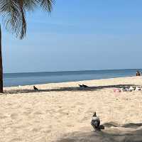 ชลบุรี หาดบางแสน เขาสามมุก เที่ยวคนเดียว!!!