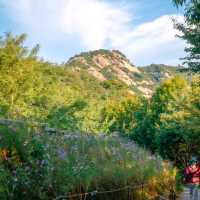 Seoul Escapade: Uncovering the Charm of South Korea's Capital