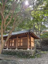 지리산 하동에 위치한 지역 명소 삼성궁 돌탑성⭐️