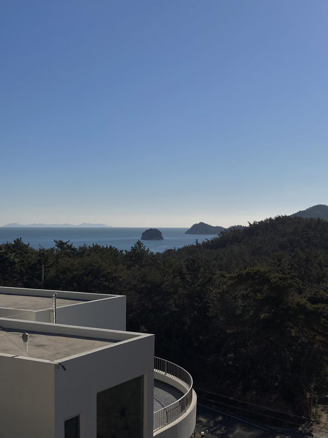 일출 맛집, 나로베어하우스