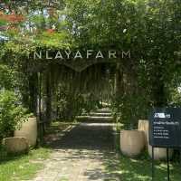 Kratom Intha Ratchaburi