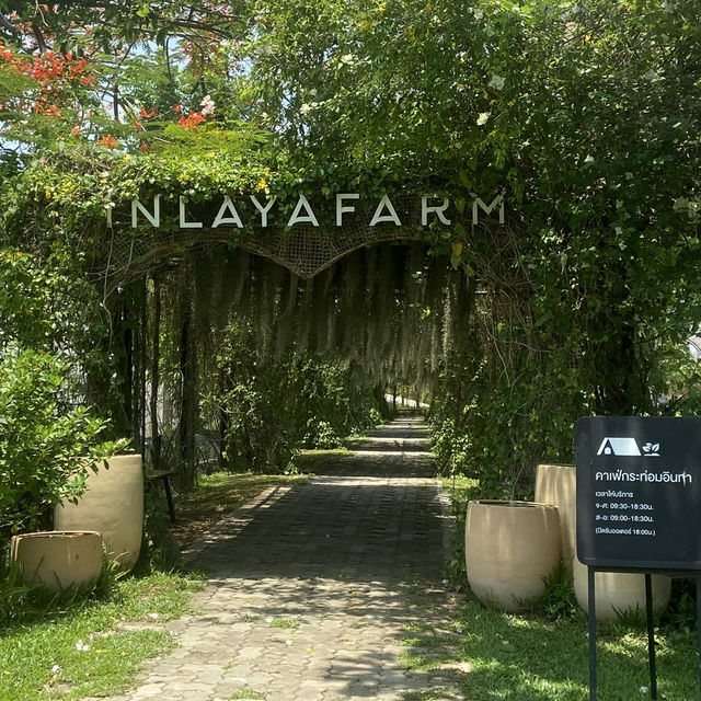 Kratom Intha Ratchaburi