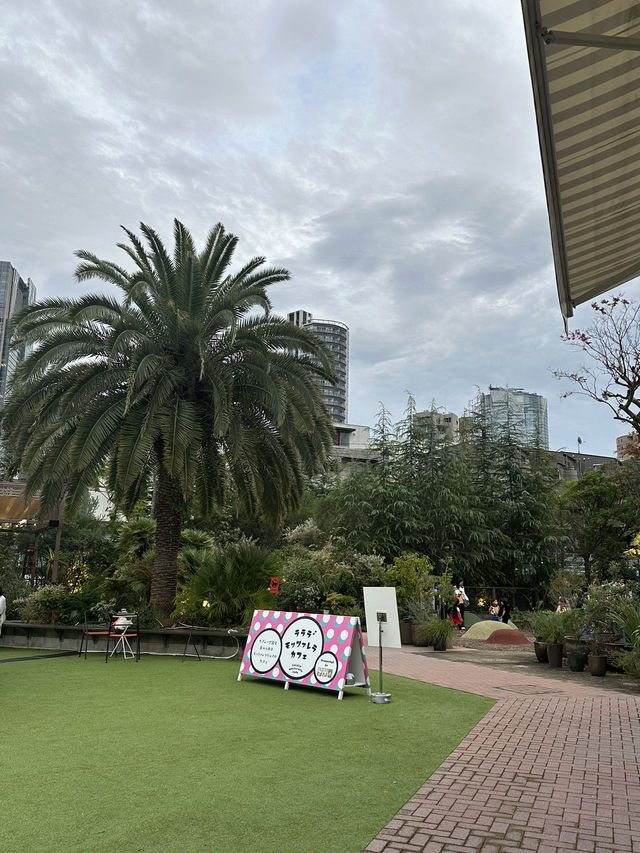 【日本/東京】青山にあるすてき空間🥹☕️