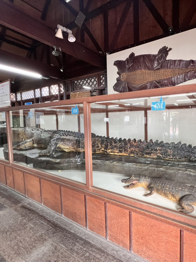 日本獨旅18天Day3別府地獄溫泉巡禮